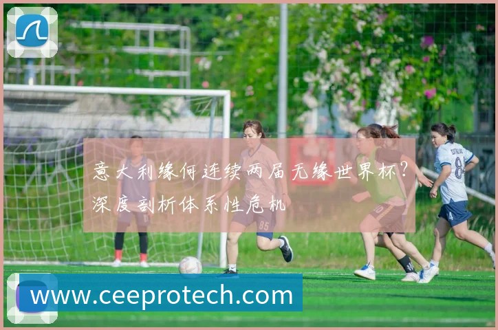 世界杯克罗地亚队点评:从莫德里奇到未来的传承之路