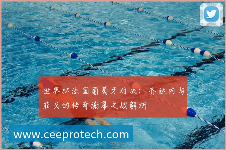 世界杯法国葡萄牙对决:齐达内与菲戈的传奇谢幕之战解析