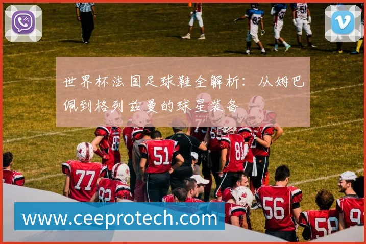世界杯法国葡萄牙对决：齐达内与菲戈的传奇谢幕之战解析