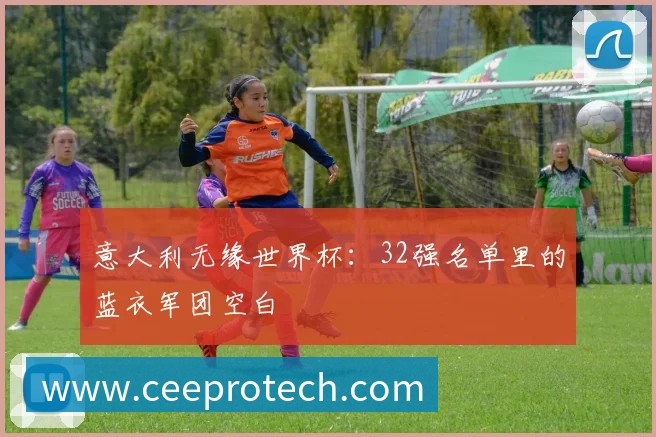 意大利无缘世界杯:32强名单里的蓝衣军团空白